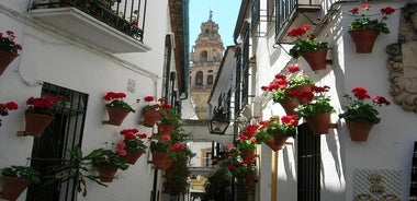 Private Tour: Cordoba-Rundgang mit Tickets ohne Anstehen