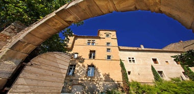 Château de Luc: Unique visit and wine tasting