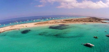 Excursion d'une journée complète en catamaran à Playa de Ses Illetes