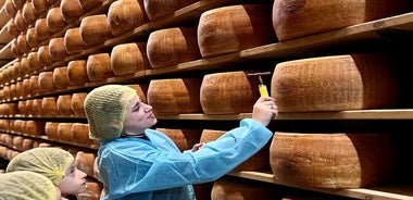 Fromage Parmigiano Reggiano et vinaigre balsamique traditionnel