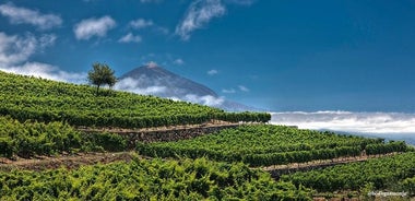 Biglietto per la cantina Bodegas Monje con degustazione di vini e laboratorio di salsa Mojo