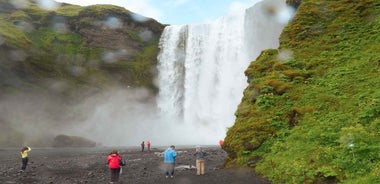 South Coast Classic: Full-Day Tour from Reykjavik