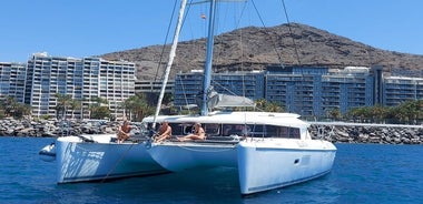 Croisière privée en catamaran de 4 heures sur la côte sud de Gran Canaria