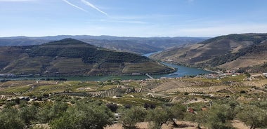 Douro Valley - Lass uns loslegen.