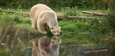 Leewarden: Aðgangsmiði í AquaZoo