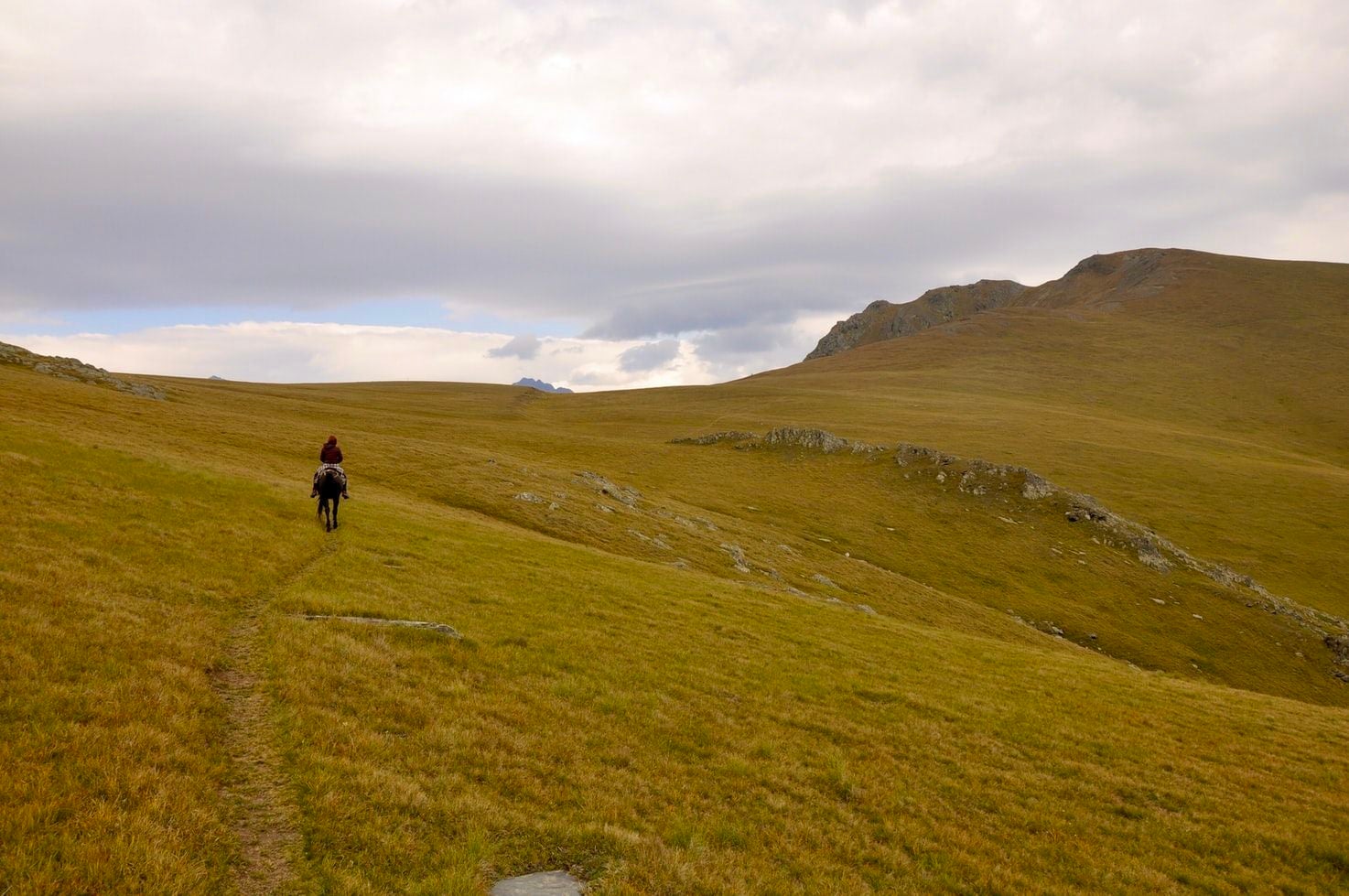 Expériences d‘équitation