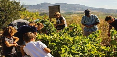 Ernte Erfahrung in Rioja Weinregion