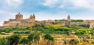 Tour privato di mezza giornata intorno all'isola di Malta