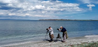 Spring Intensive Birdwatching Tour (Bulgaria)