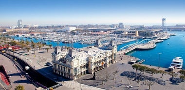 Traslado privado desde Barcelona: centro de Barcelona hasta el puerto donde atracan los cruceros