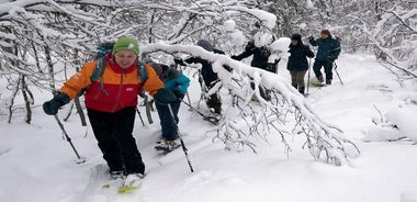 Balade guidée en raquettes sur l'île Tromsoya à Tromso