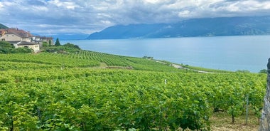 Tour privado de Basilea: Gruyères, queso y vino de la UNESCO de Lavaux