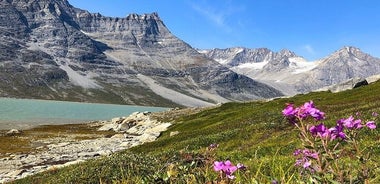 Atemberaubende geführte Privattour durch die grönländischen Fjorde • 9 Tage