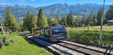 Frá Kraká: Dagsferð til Zakopane og Tatrafjalla