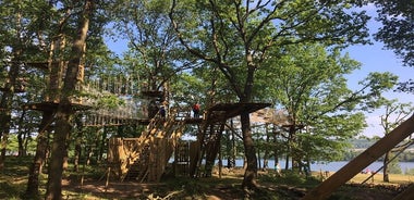 Curso de escalada de árboles en el bosque en Moisson