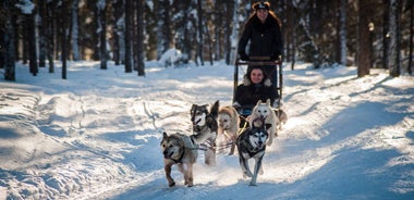 Adventure to Finnish Lapland, Saariselkä (different departures)