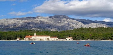 Bits of History - Excursion d'une demi-journée en kayak