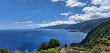 Private ganztägige Inseltour durch Madeira