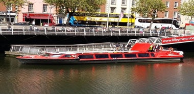 Crociera turistica di Dublino sul fiume Liffey, con guida