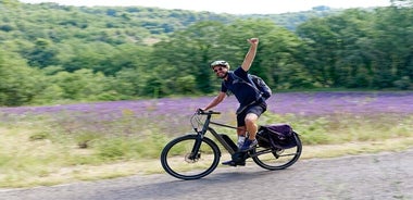 아비뇽 출발 알필 지역 종일 Ebike 투어