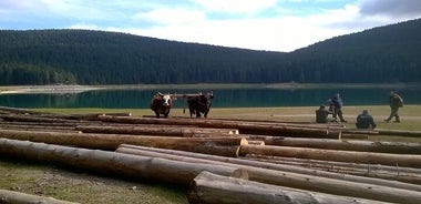 Tour privado de día completo en Moraca y Tara Canyons, Durmitor y Biogradska Gora NP