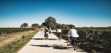 サンテミリオンから：ワインテイスティングとピクニックランチ付きの電動自転車日帰りツアー