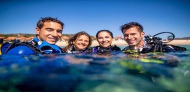 Discover Scuba Diving from the Boot