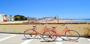 カディス少人数グループ自転車ツアー