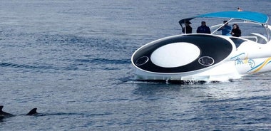 Boat trip along the Northwest Coast of La Palma