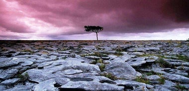 Gengið í hinu einstaka Burren landslagi og ilmvöruheimsókn. Clare. Leiðsögn 4 klst