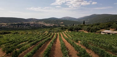 Tour del vino di Cefalonia