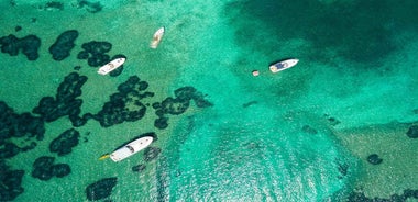 Dubrovnik: Blue & Green Caves Private Boat Tour with Drinks