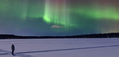 Northern Lights Adventure in the Wild with Campfire Treats