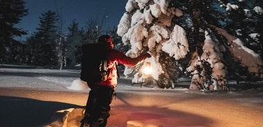 Randonnée en raquettes en soirée dans la nature sauvage du cercle polaire arctique