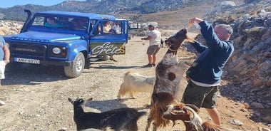 Die Straßen des Weines, Olivenöls und der kretischen Tradition in Malia