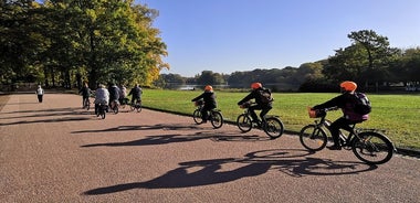 Tour in bici elettrica di un'ora e mezza di Lione per piccoli gruppi