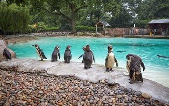 London Zoo