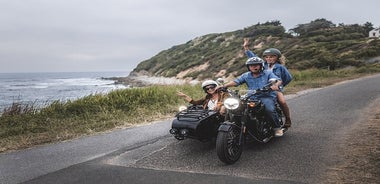 Discovery of the Basque Country by sidecar with private driver