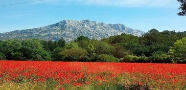 Tour des vignobles des Côtes de Provence au départ d'Aix-en-Provence