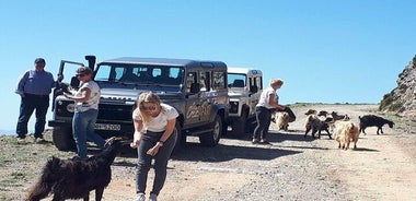 Safari 4x4 au sud de la Crète Agiofarago Matala