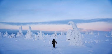 Rovaniemi: Dagferð til Riisitunturi þjóðgarðs með hádegisverði