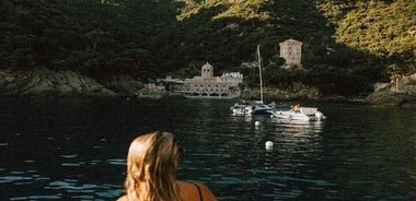 Tour privado en barco en la Reserva Natural de Portofino o Cinque Terre