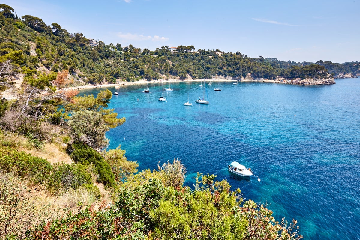 Guided Tour in Toulon Port & Old City