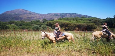 Équitation sur le Vésuve