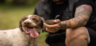 La chasse aux truffes aux Météores