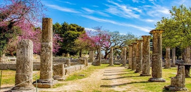 Tour privato di mezza giornata dell'Olympia da Katakolon