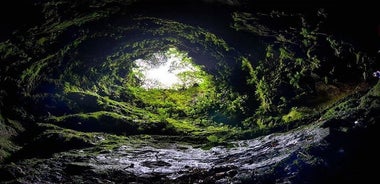 Visite de la grotte à Terceira