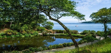 2-stündige Führung durch den Cornish Garden mit einem erfahrenen Gartenbauer