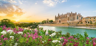 Full Day Private Shore Tour in Palma de Mallorca from Palma Port