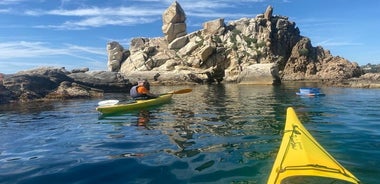 Excursion de 3 heures en kayak de mer avec tuba